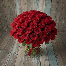 Букет 55 Красных роз Фридом #REPLACE_PRED# Новокуйбышевске Самарская область