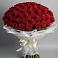 Букет 101 Красная роза Блэк Мэджик в Новокуйбышевске Самарская область