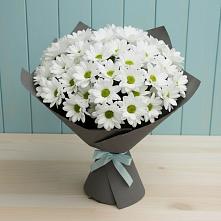 Букет цветов из:  Хризантемы в Новокуйбышевске Самарская область