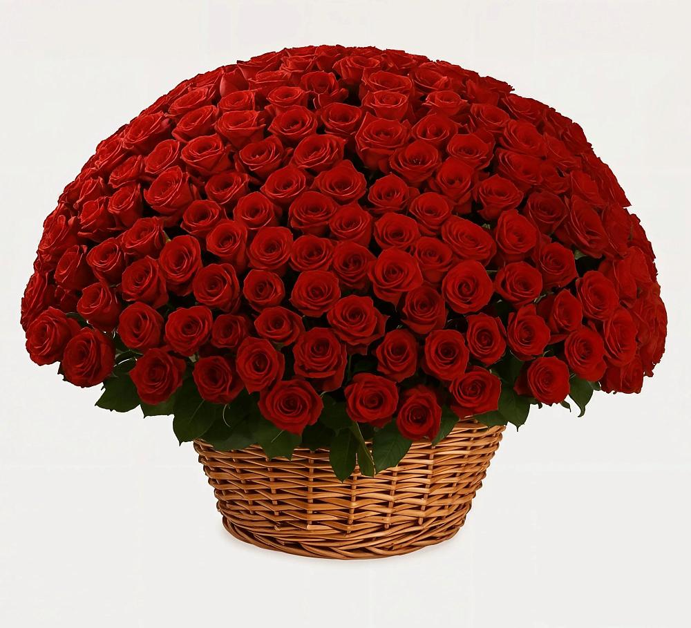 Премиум букет из: Розы в Новокуйбышевске Самарская область