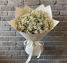 Букет цветов из:  Ромашки в Новокуйбышевске Самарская область