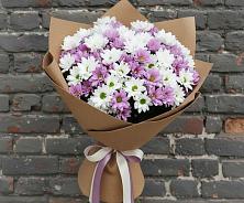 Букет цветов из:  Хризантемы #REPLACE_PRED# Новокуйбышевске Самарская область