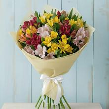 Букет цветов из:  Альстромерии в Новокуйбышевске Самарская область