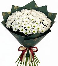 Букет цветов из:  Хризантемы в Новокуйбышевске Самарская область