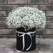 Цветочная композиция из Гипсофила в шляпной коробке в Новокуйбышевске Самарская область