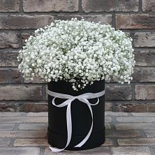 Цветочная композиция из Гипсофила в шляпной коробке в Новокуйбышевске Самарская область