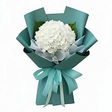Букет цветов из:  Гортензия в Новокуйбышевске Самарская область